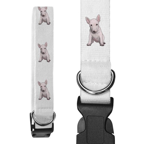 English bull terrier dog - terrier',