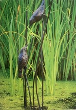 Metal Birds Garden Ornament Aluminium