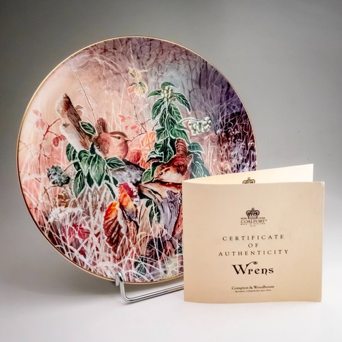 Coalport wrens frosty - coalport,
