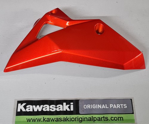 Genuine kawasaki z800 - genuine,