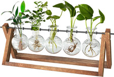 Cfmour Plant Terrarium with