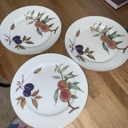 Dinner plates vintage royal - dinner,