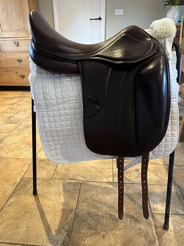 Equestrian saddle - equestrian,