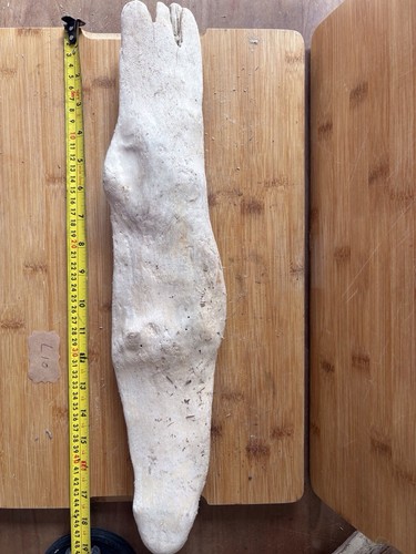 Stunning unusual large - stunning,