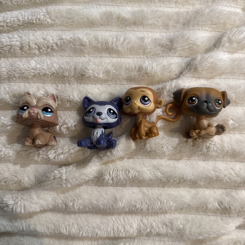 Littlest pet shop lps - shop,