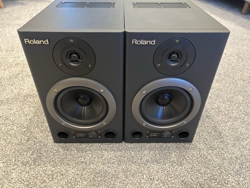 Roland 30a digital amped - digital, bi-amped