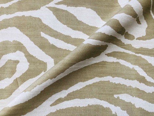 African beige cream zebra - african,