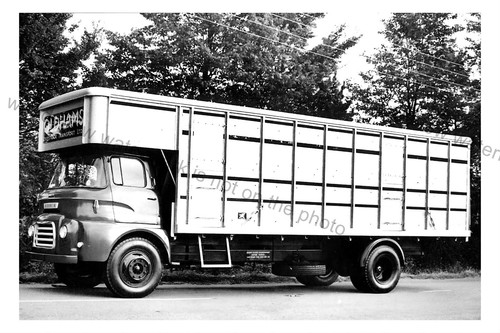 Cv123 oldhams livestock - oldhams,