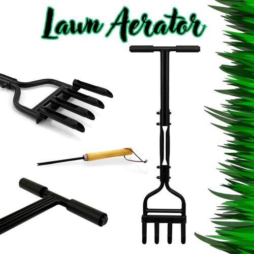 Lawn grass soil - lawn, 4