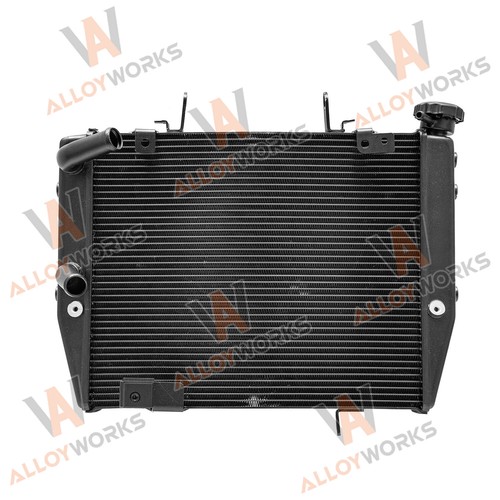 Radiator for 2017 - for, triumph