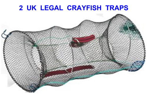 Legal crayfish traps live - uk,