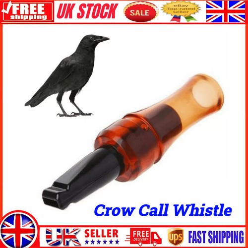 Outdoor crow rook - call, whistle