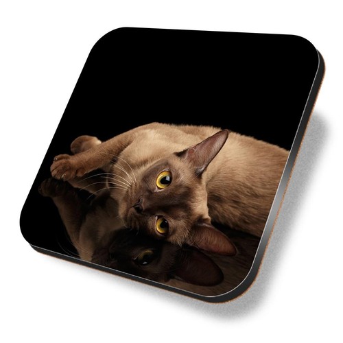 Square mdf coaster - coaster, burmese