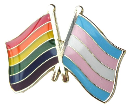 Rainbow transgender flag pin - flag,