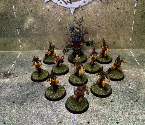 Wood elf blood bowl - wood, team