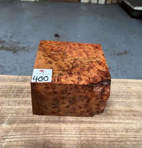 Thuya burr 5 x - thuya, 3”