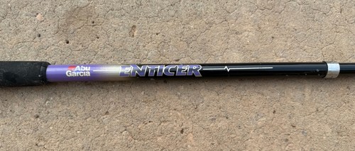 Abu garcia enticer teleconomy - garcia,