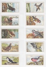 British Birds Cigarette Cards