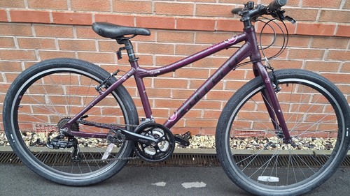 Woman carrera bike small - woman's,