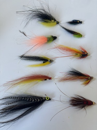 Scottish salmon tube - salmon,