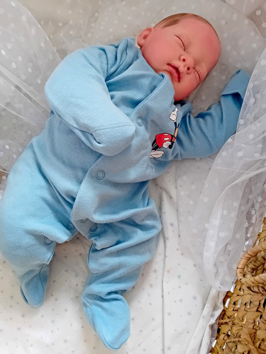 Reborn cuddle baby sofia - reborn,