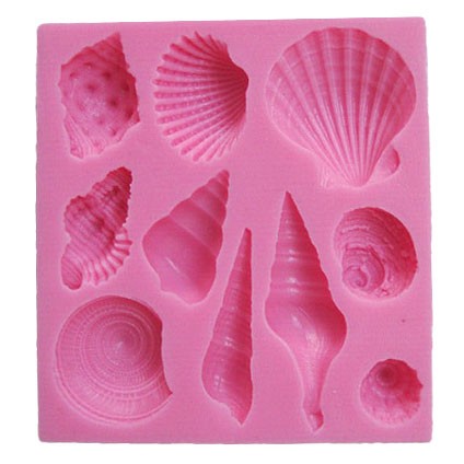 Sea shells piece summer - sea,