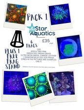 🪸Starter Soft Coral Pack x6