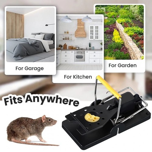 6pcs rat trap mouse - trap,