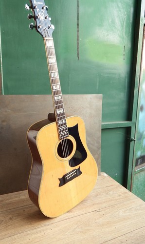 Acoustic guitar rare ibanez - guitar,