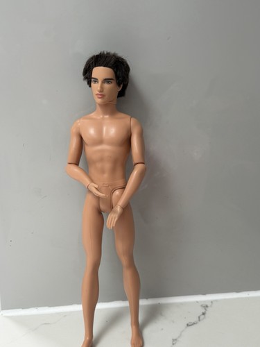 Barbie doll ryan fashionistas - barbie,