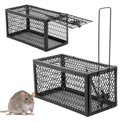 Humane live rat - &, mouse