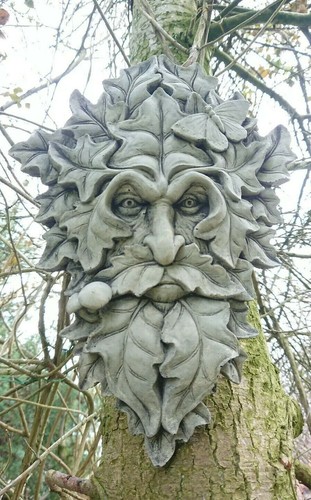 Stone garden ivy leaf green - garden,