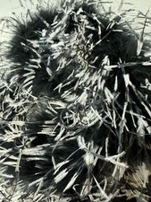 ostrich feather boa Black With White Tips