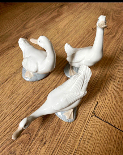 Set neo white ceramic - of,