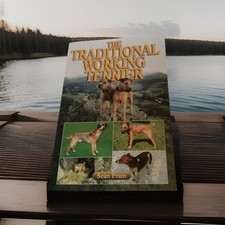 Traditional Working Terrier by