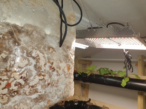 Co2 generator grow tent - generator, |