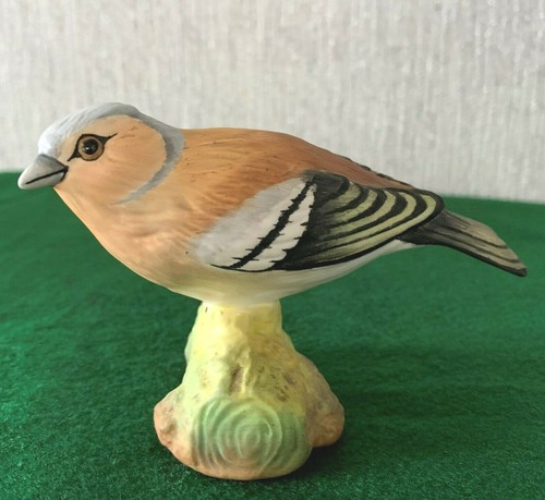 Bird chaffinch crown - chaffinch,