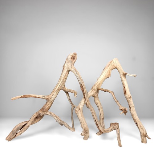 Piece manzanita driftwood - 2,