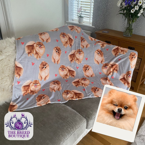 Pomeranian blanket with hearts - pomeranian,