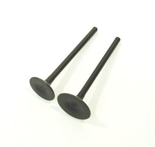 Inlet exhaust valves - inlet,