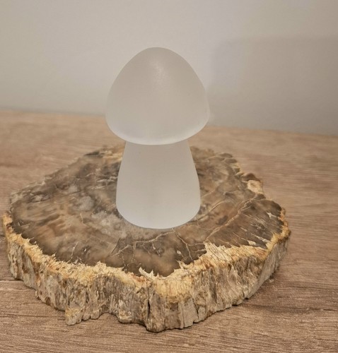 Selenite crystal mushroom - crystal,