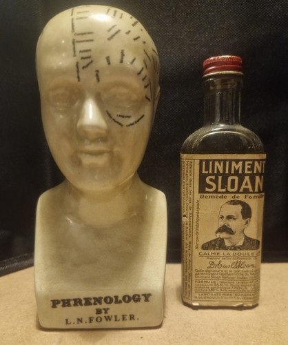 Fowler vintage phrenology - l.n.,