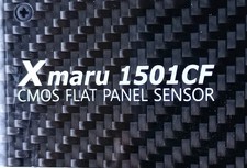 Panoramic radiography flat