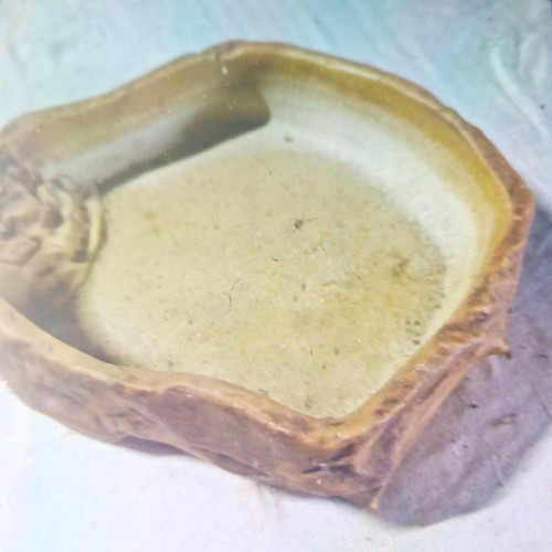 Dragon water bowl ideal - water,