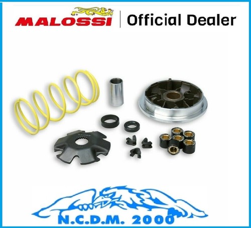 Malossi variator multivar - malossi,