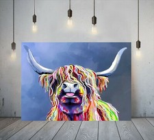 Gorgeous Highland Cow Tongue Out FRAMED CANVAS WALL ART PICTURE or PAPER PRINT