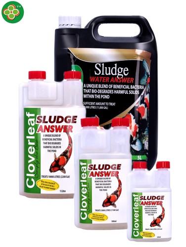 Cloverleaf sludge answer - cloverleaf, koi