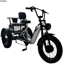 20" Electric Trike 48V