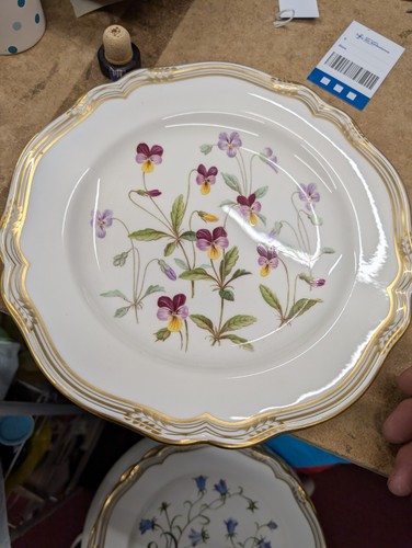Spode wildflower series no4 - wildflower,