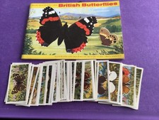 British Butterflies an empty